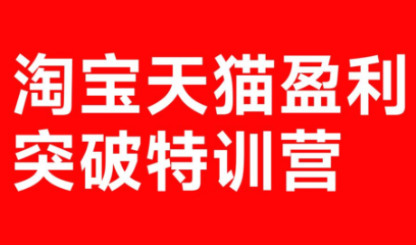 玺承·淘宝天猫盈利突破特训营(25年12月线下课)【音频+字幕】-星宇博客