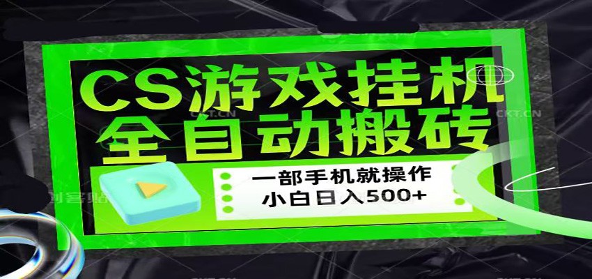 CSGO游戏挂机捡漏搬砖，超稳定的项目，带领1000+小白实现日入500+-星宇博客
