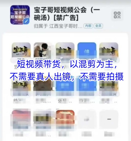 宝子哥头部团队短视频带货，以混剪为主，不需要真人出镜，不需要拍摄【更新26年3月】-星宇博客-创造无限价值!