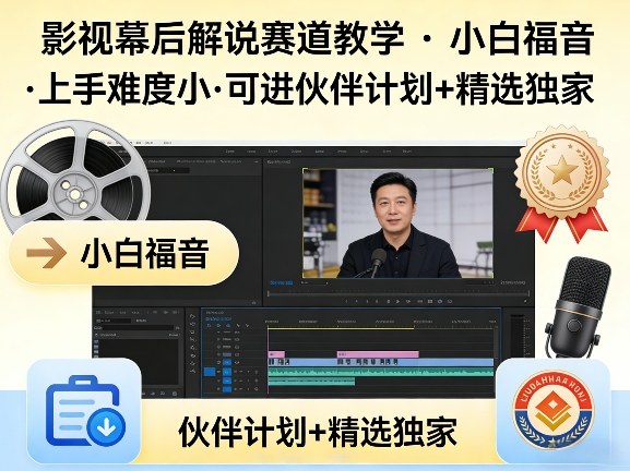 某大佬的影视幕后解说赛道教学，小白福音，上手难度小，可进伙伴计划+精选独家-星宇博客