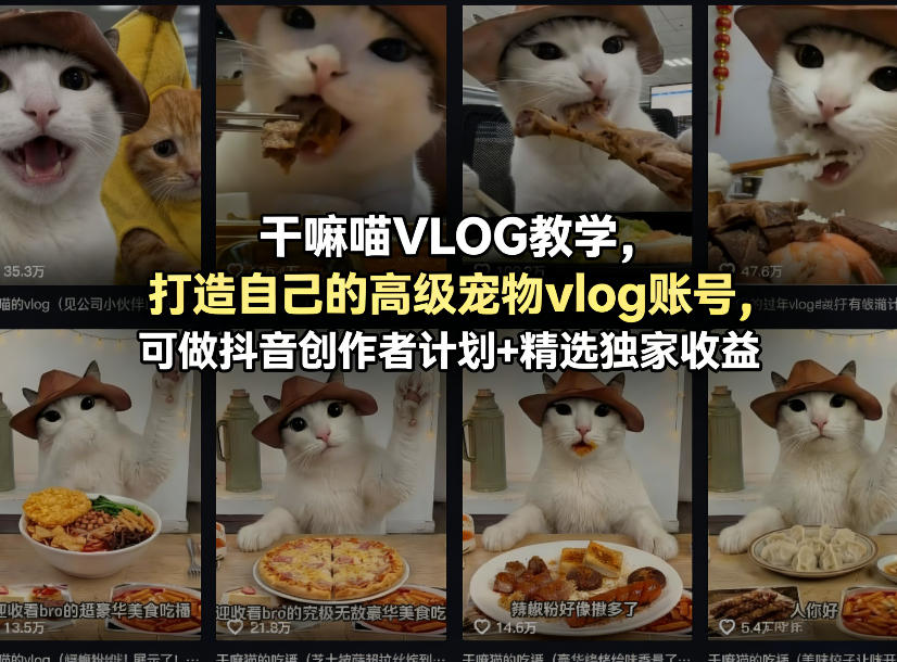 干嘛喵VLOG教学，打造自己的高级宠物vlog账号，可做抖音创作者计划+精选独家收益-星宇博客