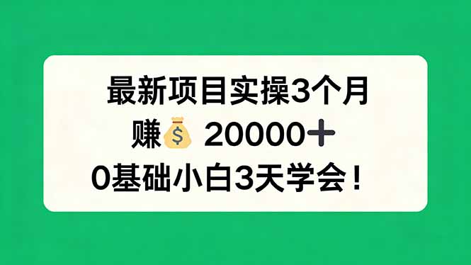 最新项目实操3个月，赚钱20000+，0基础小白3天学会！-星宇博客